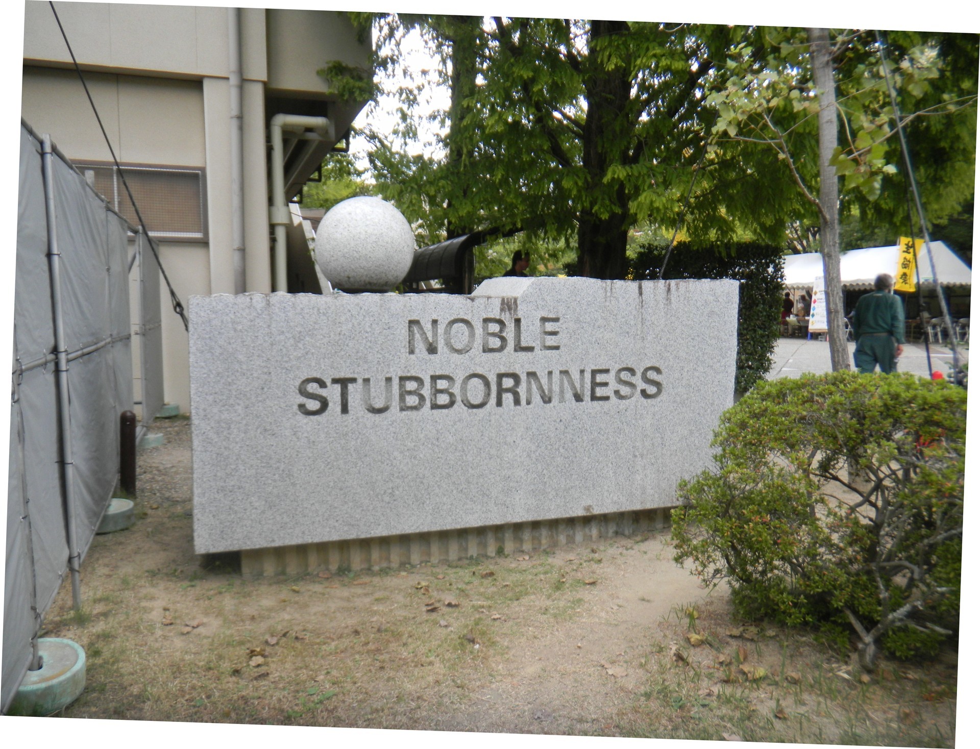 Noble stubbornness